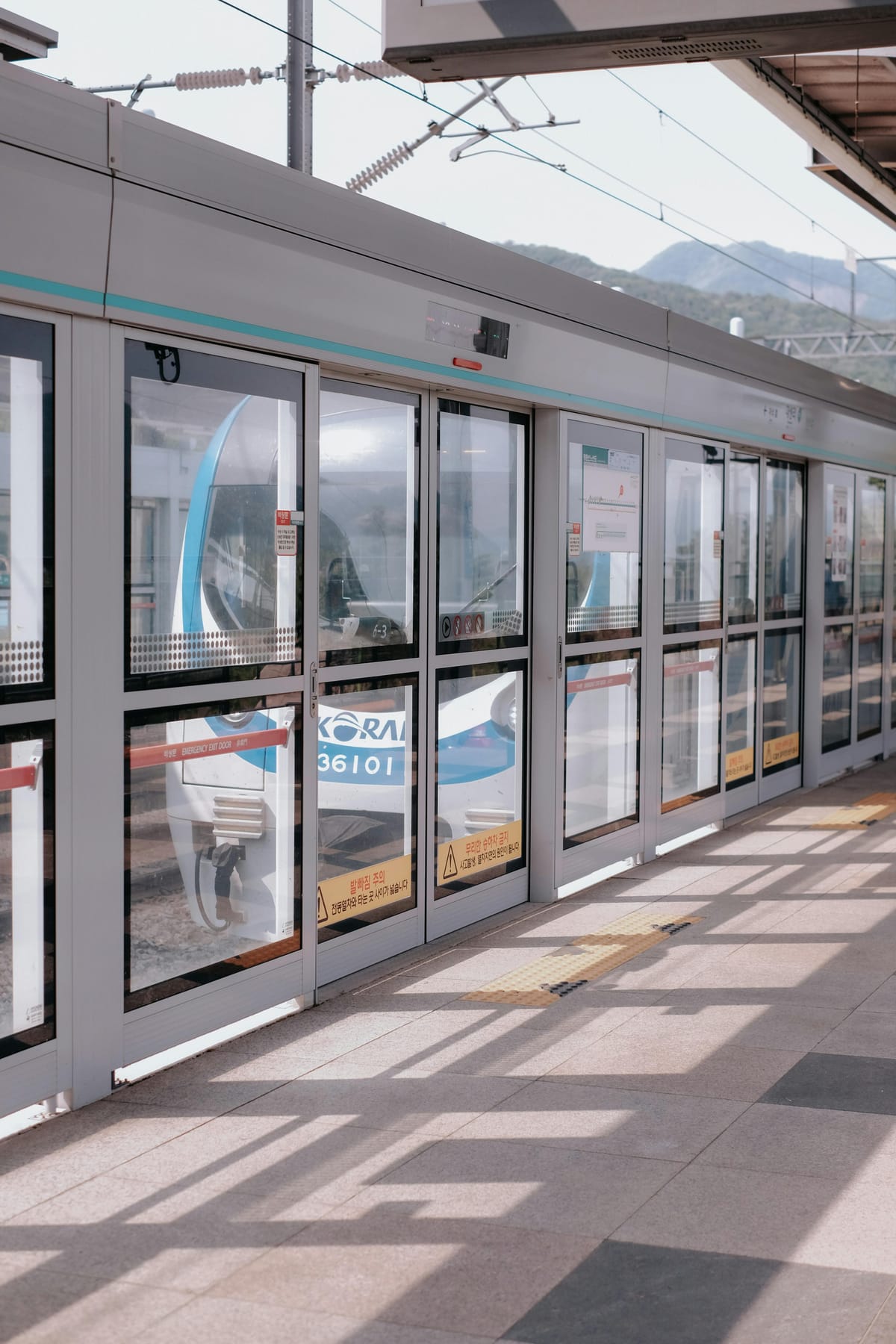 Study Abroad in South Korea: Transportation Guide